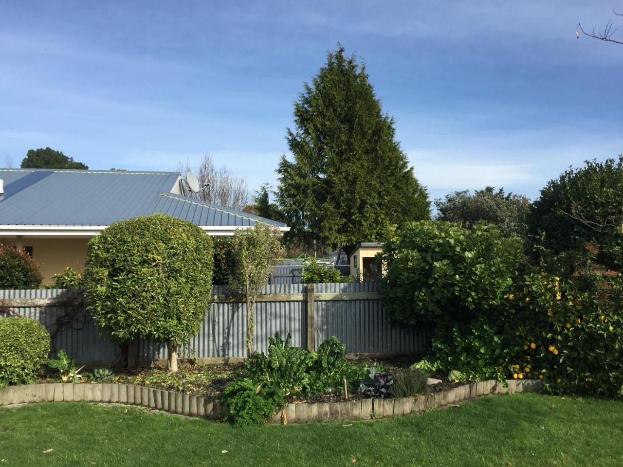 Cosy, Central Greytown Sleepout المظهر الخارجي الصورة